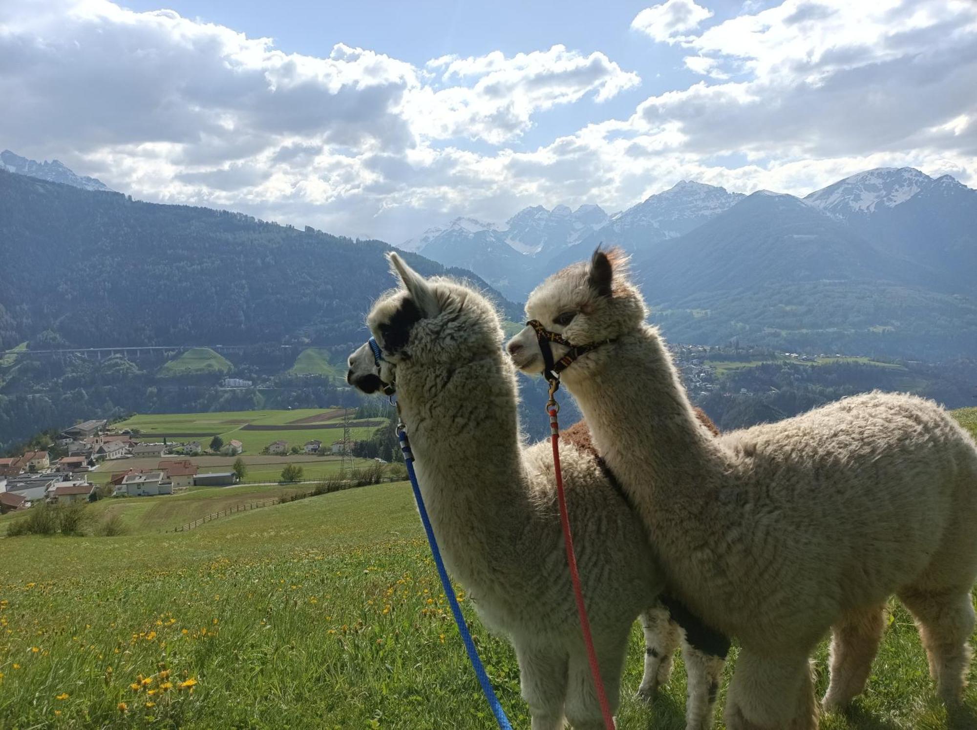 Kehrerhof Hotell Ellbögen Exteriör bild